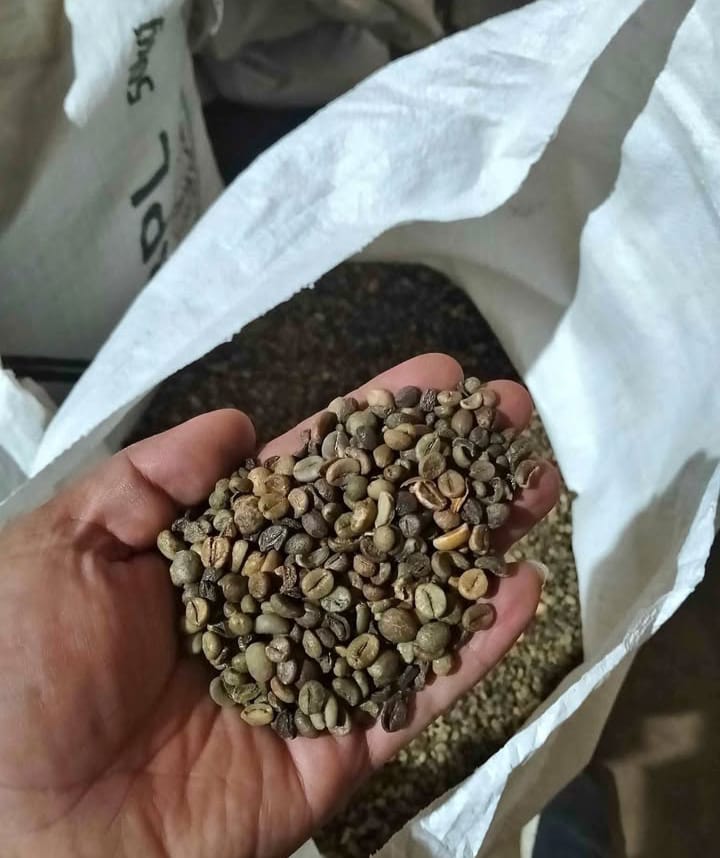 Robusta Green Bean Coffee