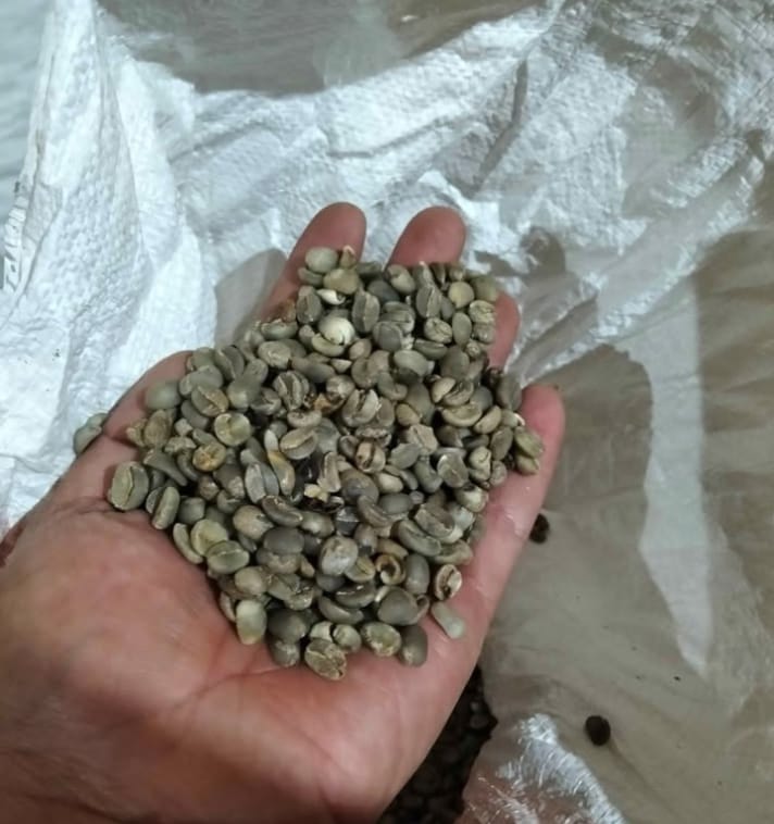 Arabica Green Bean Coffee